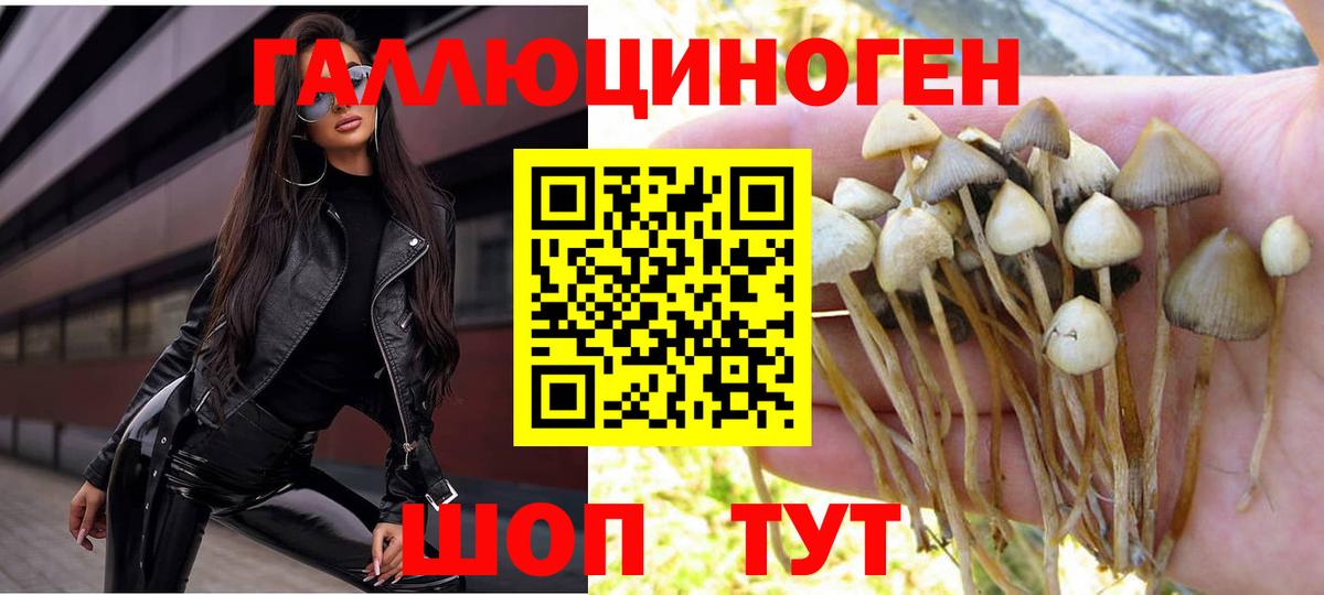 Галлюциногенные грибы MAGIC MUSHROOMS Нефтекумск